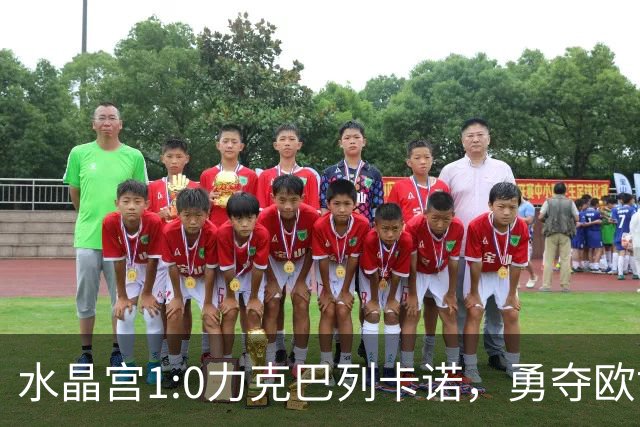 水晶宫1:0力克巴列卡诺，勇夺欧协联冠军！