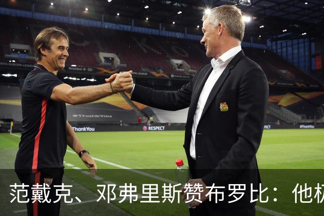 范戴克、邓弗里斯赞布罗比：他极难对付 和卢卡库有相似之处