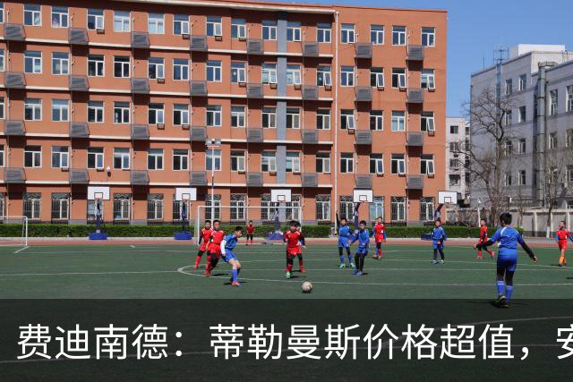费迪南德：蒂勒曼斯价格超值，安德雷-桑托斯正在证明自己