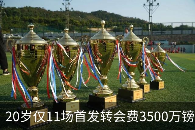 20岁仅11场首发转会费3500万镑，这笔交易却被认为很划算